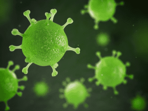 Απολύμανση-Απολυμάνσεις-ιών-μικροβίων-κοξάκι-σαλμόνελα-μύκητες