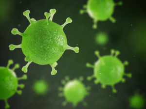 Απολύμανση ιών μικροβίων στo Καπανδρίτι-κορωνοϊός-κοξάκι-σαλμόνελα-μύκητες-μηνιγγίτιδα